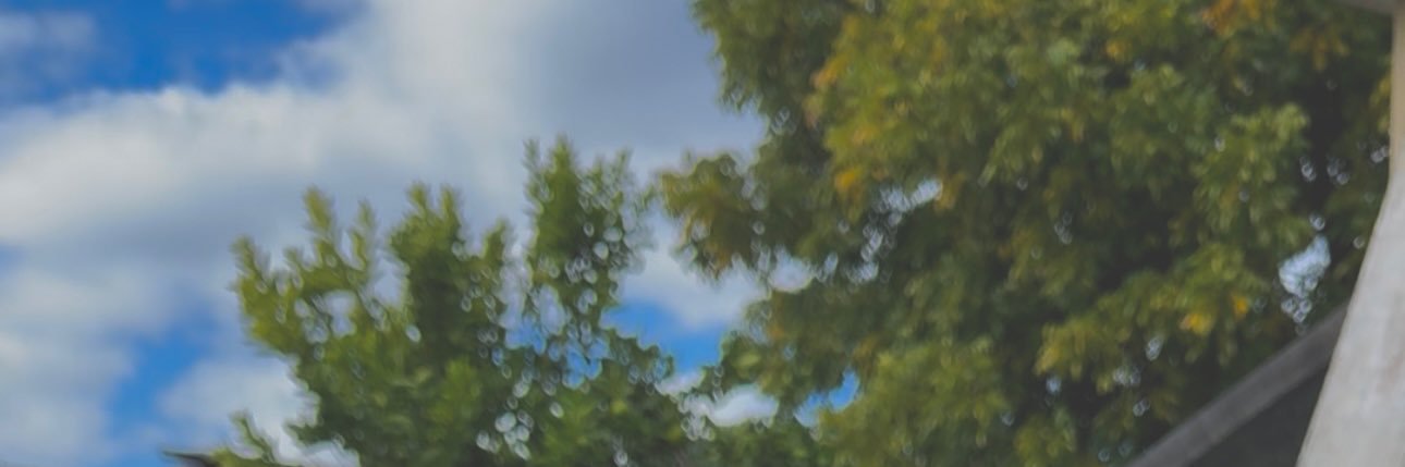 guayasco's profile banner image