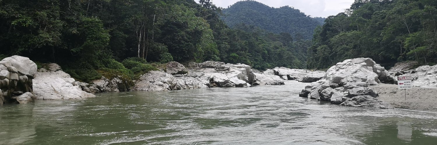 Carolina Proaño banner