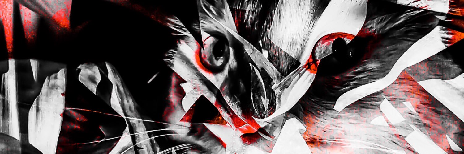 Rae_HS87's profile banner image
