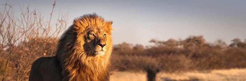 Z294324's profile banner image