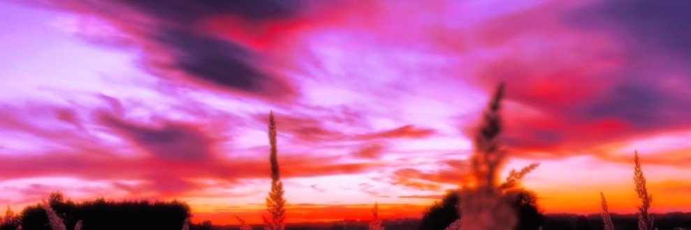 TheSantl's profile banner image
