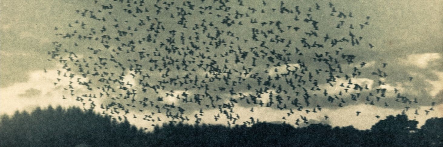 kitab-ül Sevda banner