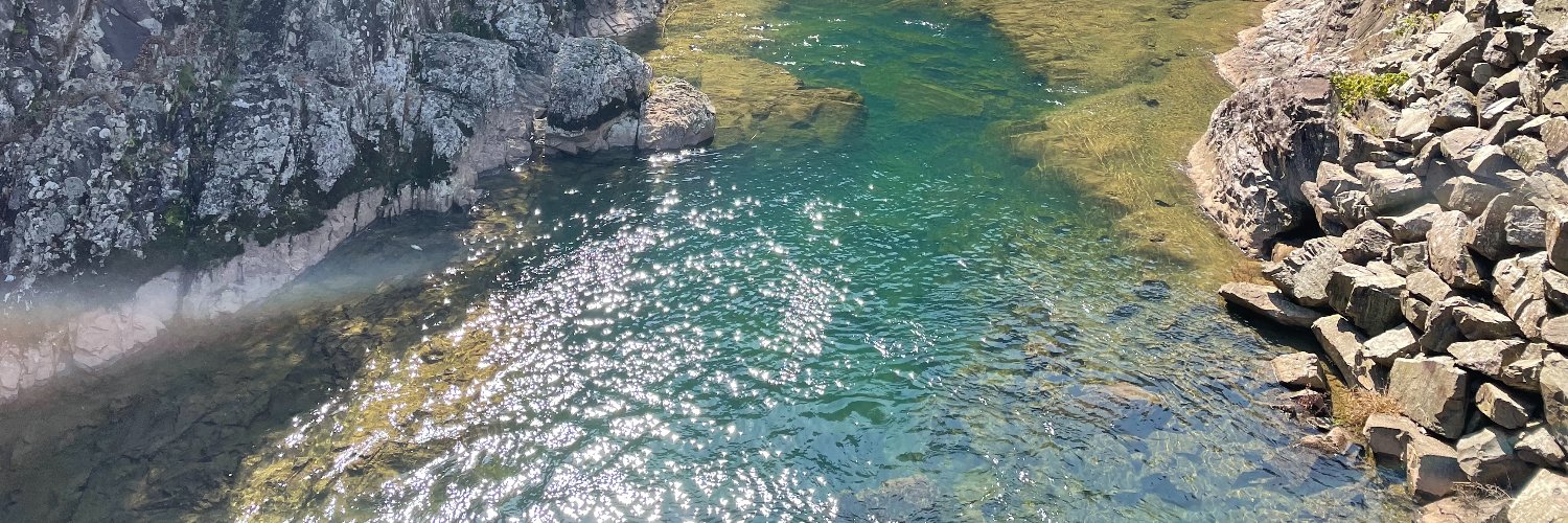 mihaela popovici.hft banner