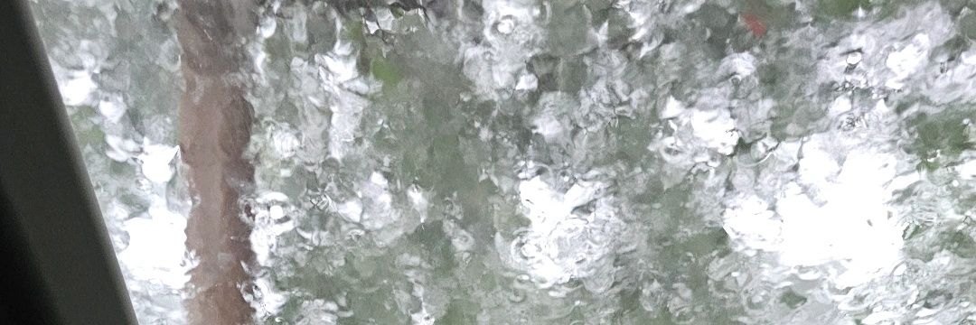nahomy_96's profile banner image