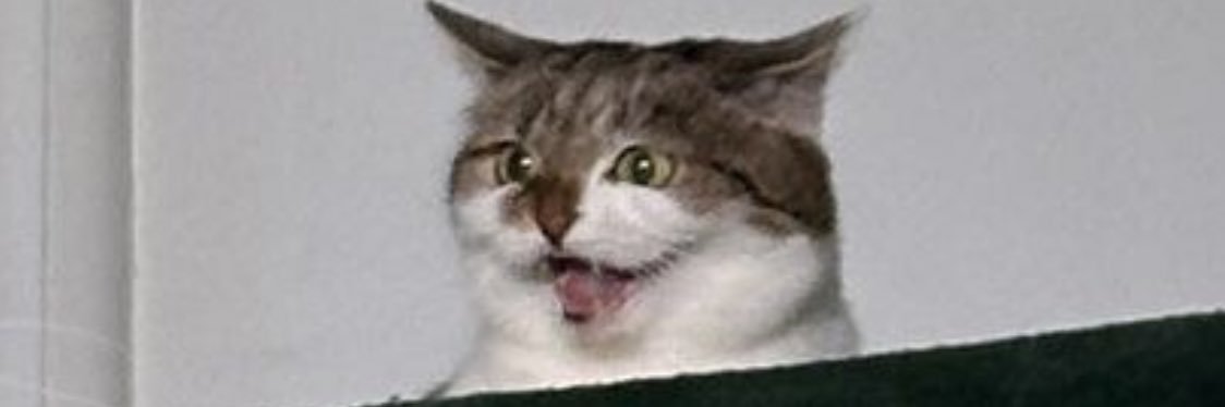 jpankk's profile banner image