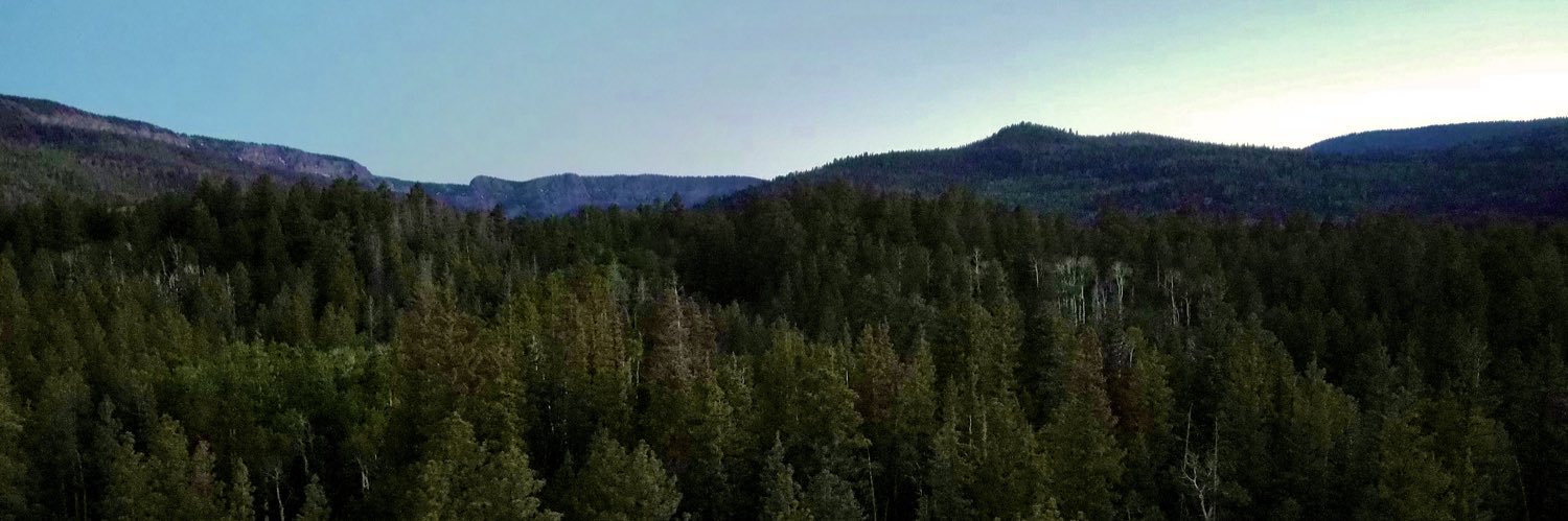RedBeard_Miller's profile banner image