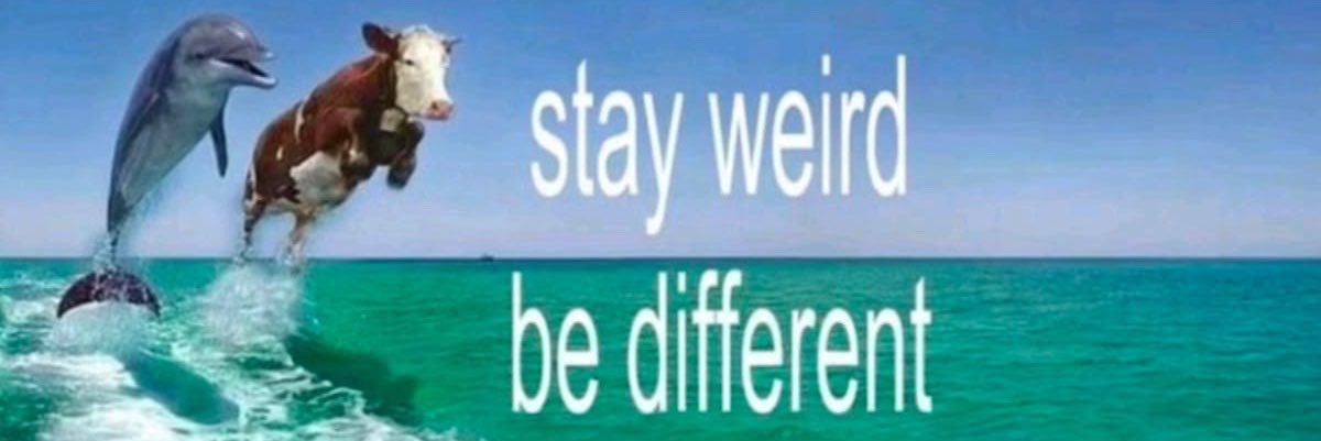 Brox_Ori's profile banner image