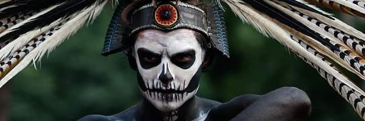 elmaschipotle's profile banner image