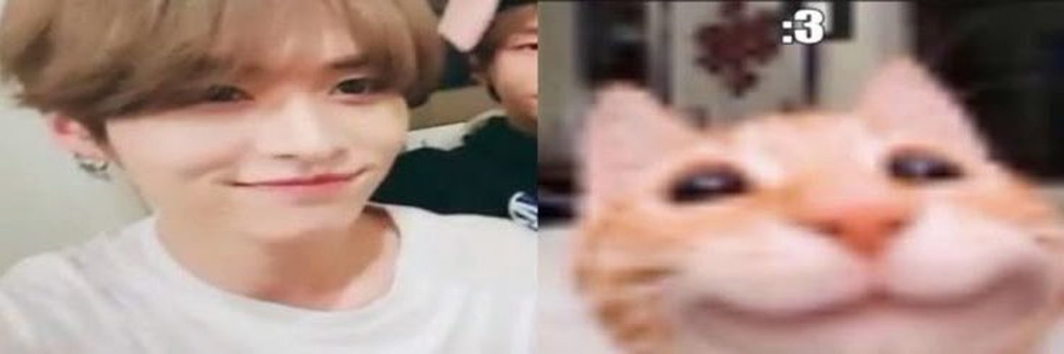 linosaurus 🍮˚୨୧⋆｡˚ ⋆ banner
