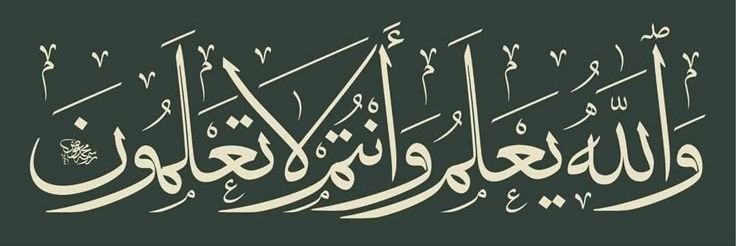 السلطان طومان تراي banner