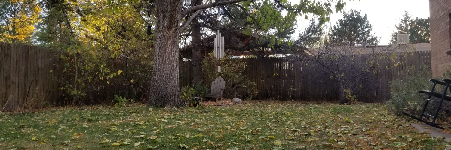 Chuck Plunkett banner