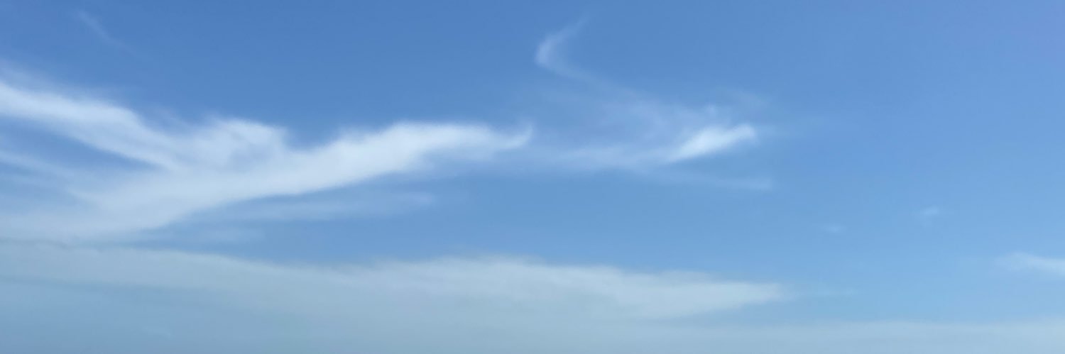 buzzgundersen's profile banner image