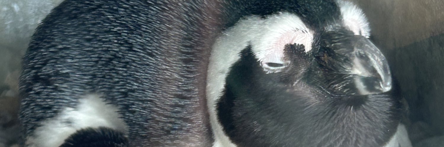 みすず🔰🎀 banner