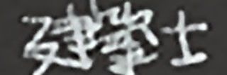 紫 珠 . banner