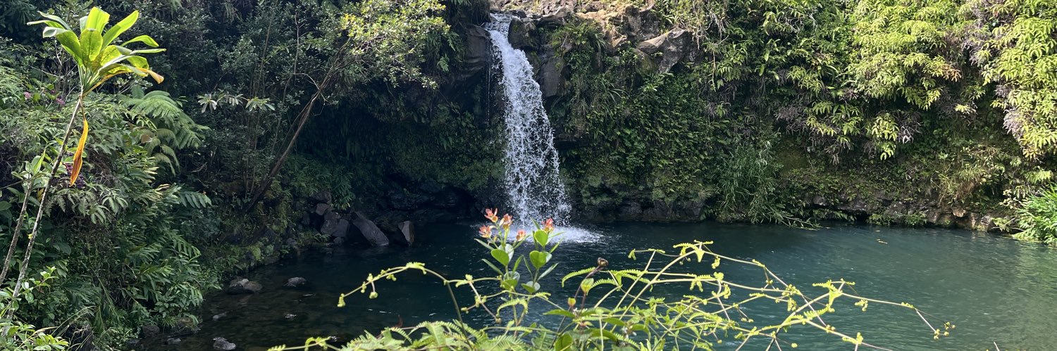 Stephanie 🇺🇸 banner