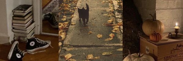 tortillacalzz Profile Banner