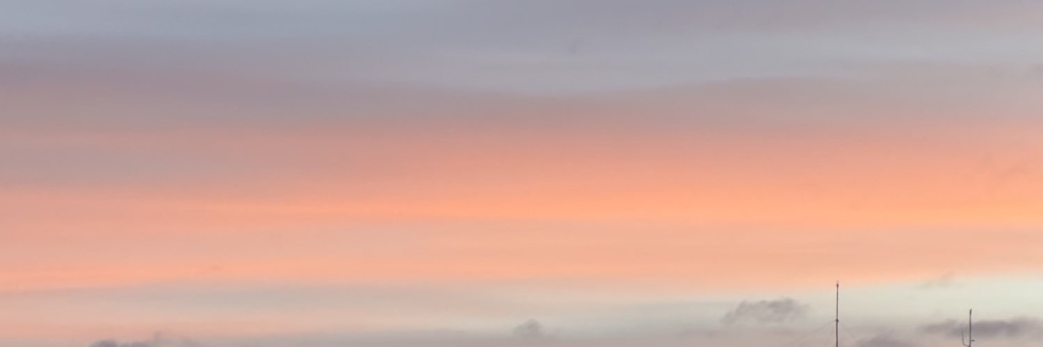 🌸⭐️ banner