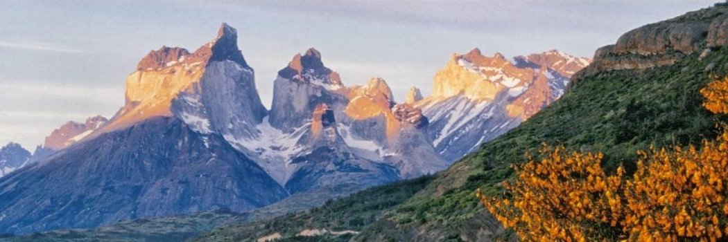 Scott Rencher banner