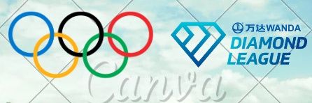 Zico Runningteam banner