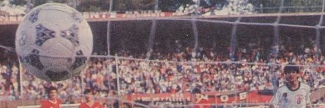 Newellsletter banner