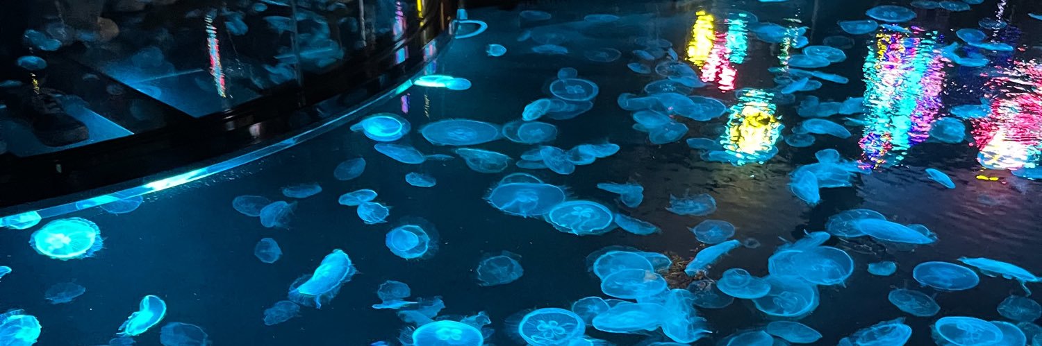 か₍ ᐢ. ̫ .ᐢ ₎ banner