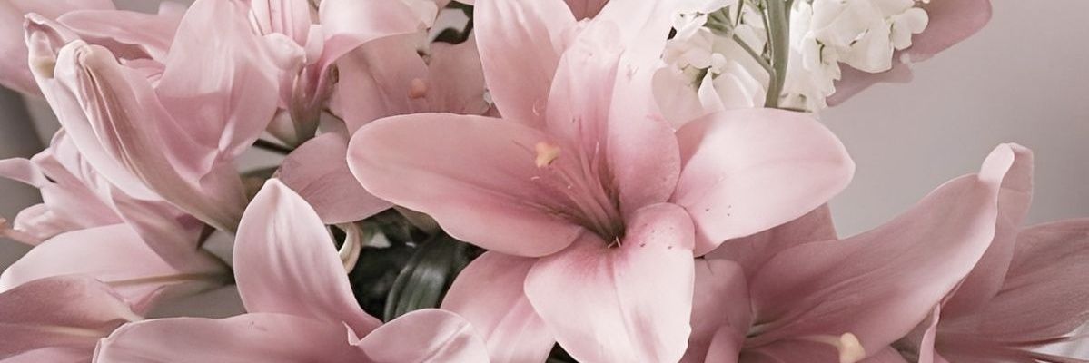 Stayildiz🎗️ banner