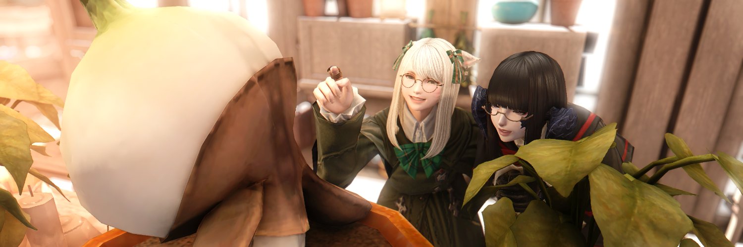 𝚖𝚘𝚐𝚎 banner