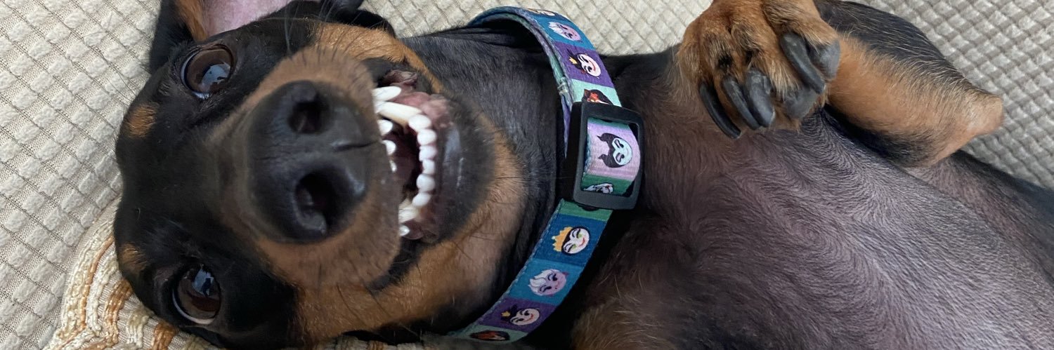 BeatrizDExx's profile banner image