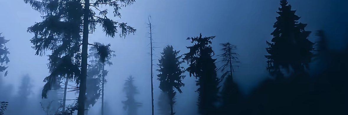 14hoursFeng's profile banner image