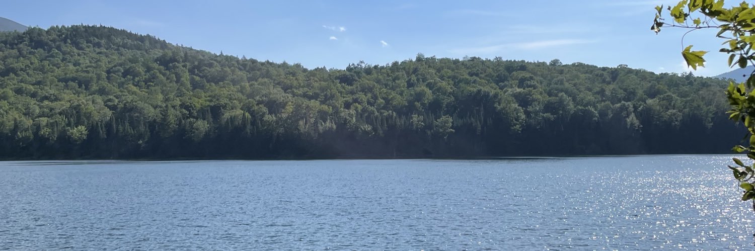 America First banner