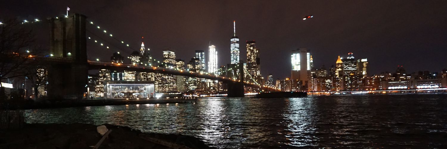 nycregoddess's profile banner image