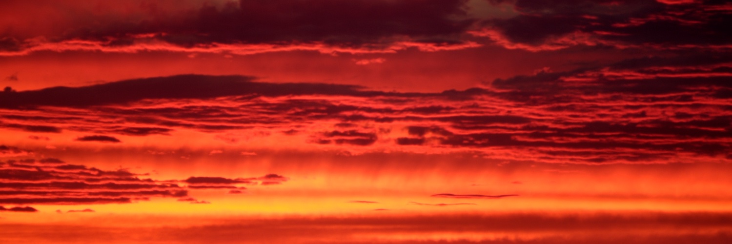 Marcelo Campiglia banner