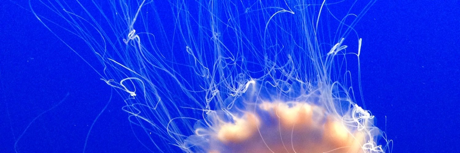 Joshua B. Plotkin banner