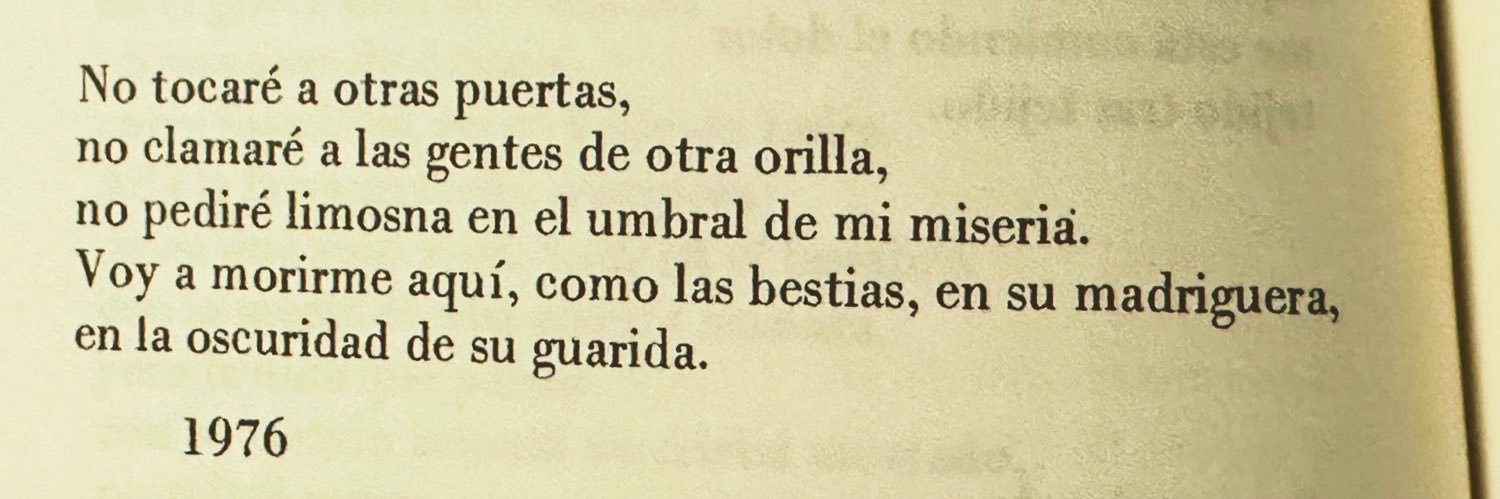 Nostrianamus… banner