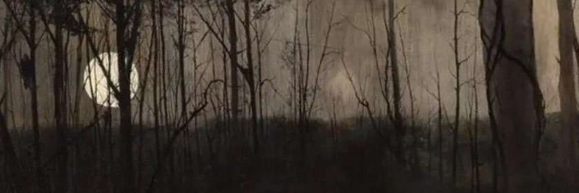 ꧁ Misaki ꧂ banner