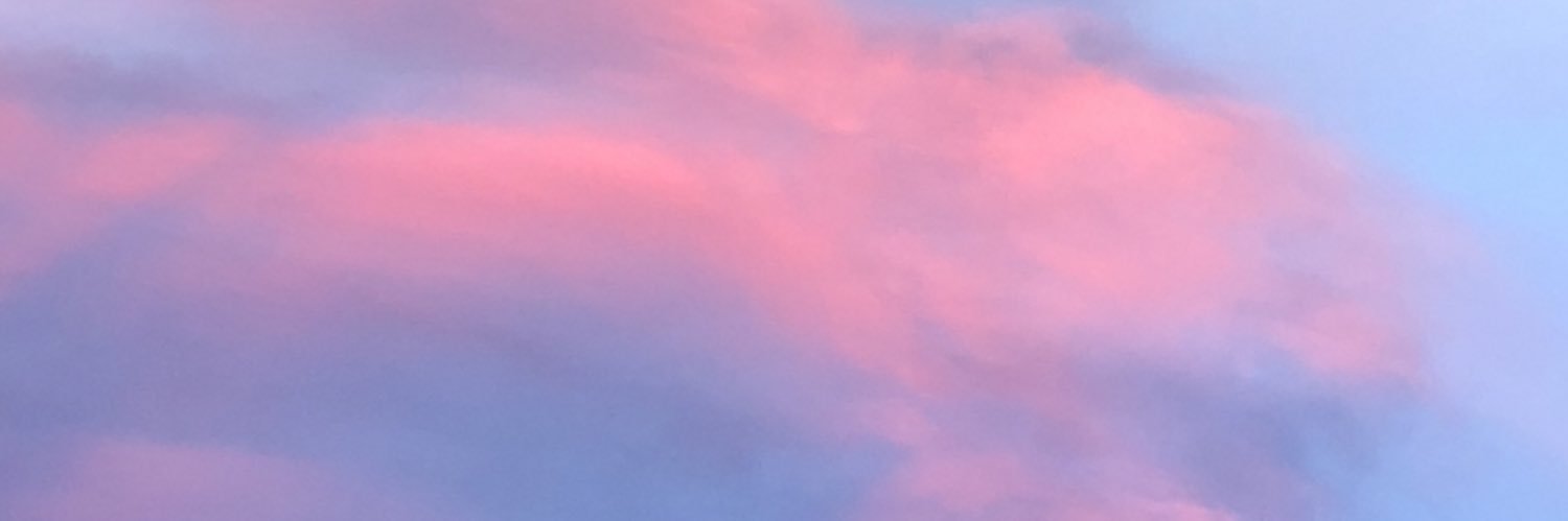 ___fsan9's profile banner image