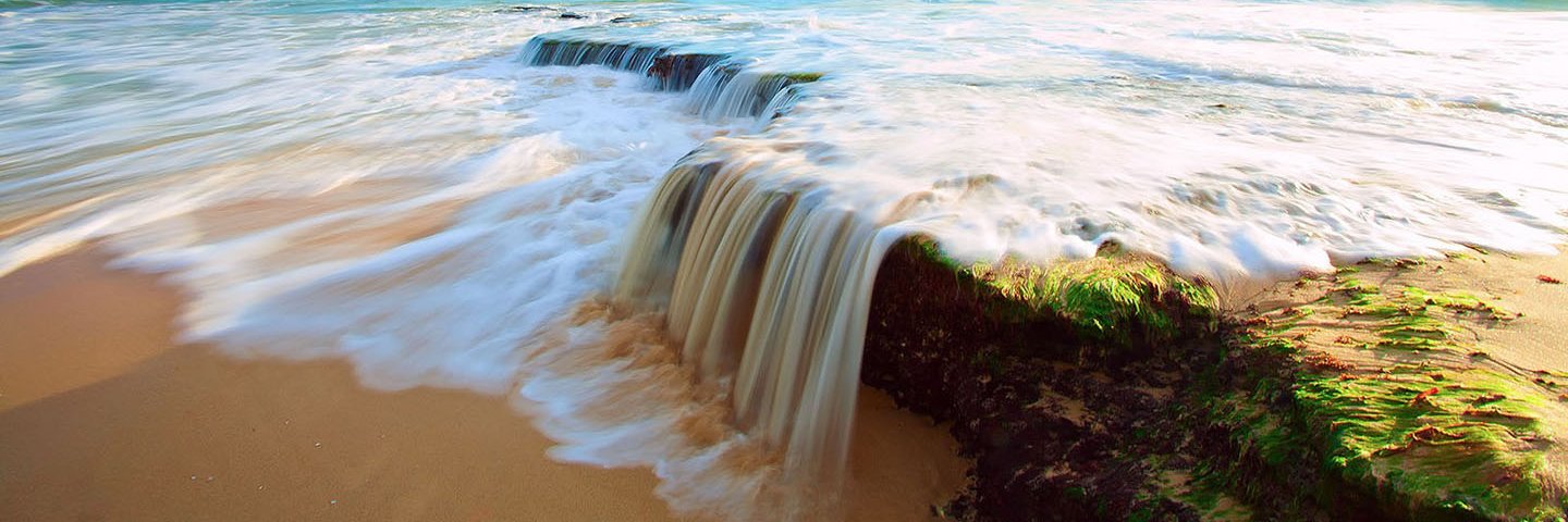 Eugene M. Felder banner