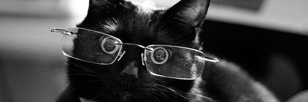 Angie_PePu's profile banner image