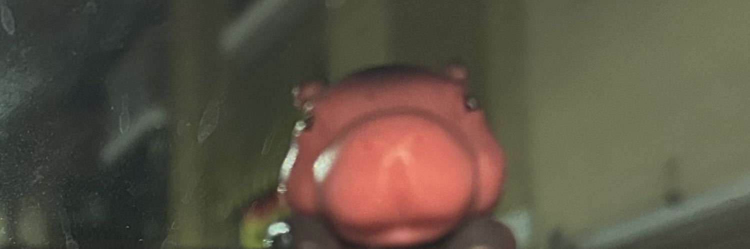 PBessini's profile banner image