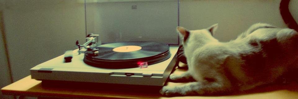 Grisel D'Angelo banner