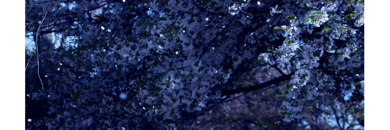 maru06181's profile banner image