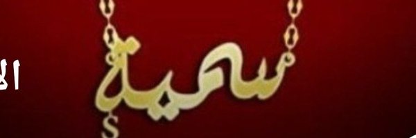 swswd17 Profile Banner