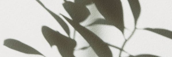 theprunkster's profile banner image