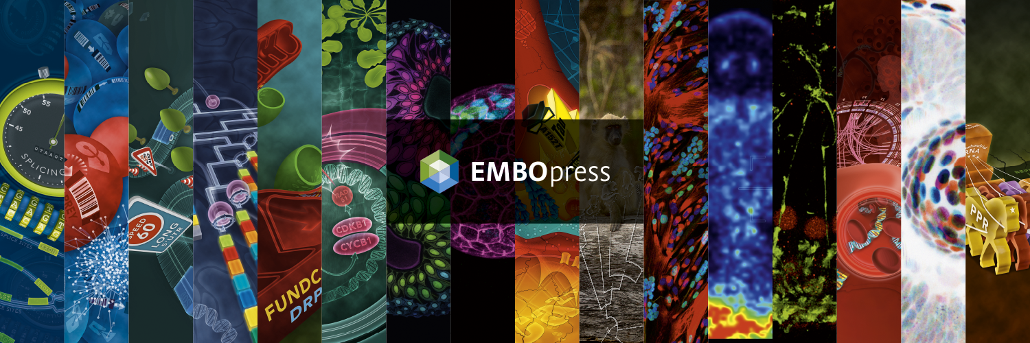 EMBO Press's banner
