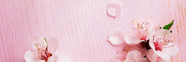 paledesires's profile banner image