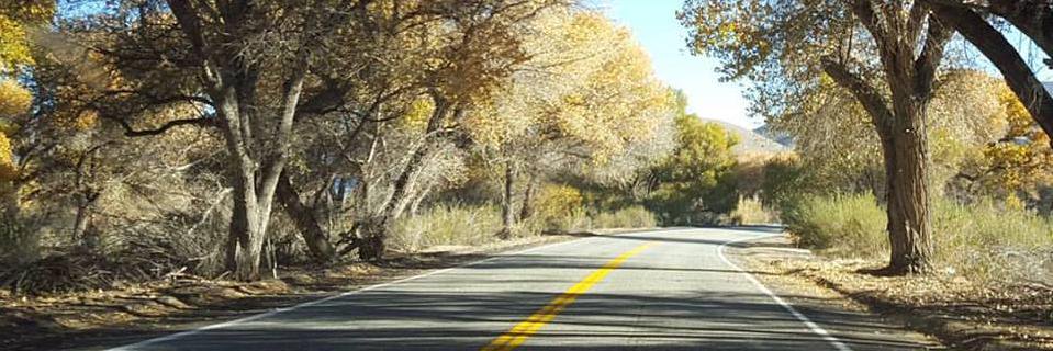 mgnprgh's profile banner image
