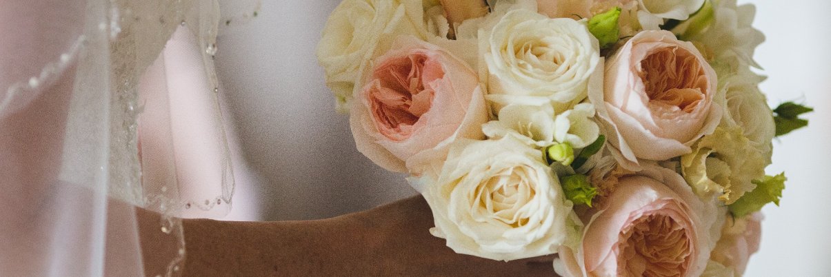 PoppiesFD's profile banner image