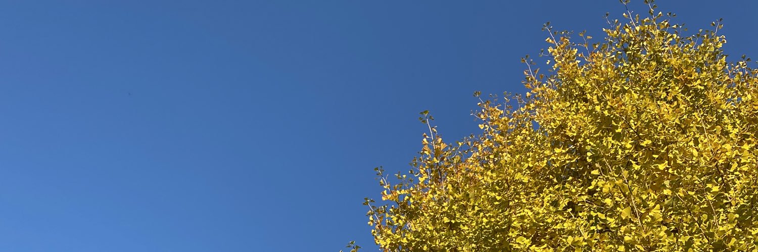 RunaMini's profile banner image