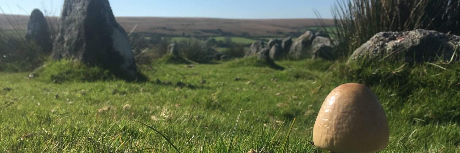 James Wimpress banner