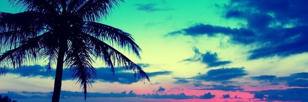 dennissala Profile Banner